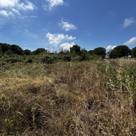  CABINET IMMOBILIER SOPHIE GUILLAMAT : Terrain | MARSEILLAN (34340) | 0 m2 | 15 000 € 