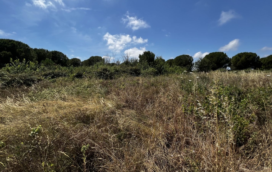 CABINET IMMOBILIER SOPHIE GUILLAMAT : Terrain | MARSEILLAN (34340) | 0 m2 | 15 000 € 